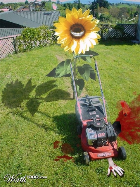 Photoshop Design by GutsAndGlory