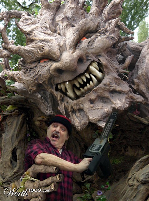 Photoshop Design by beanfarmer