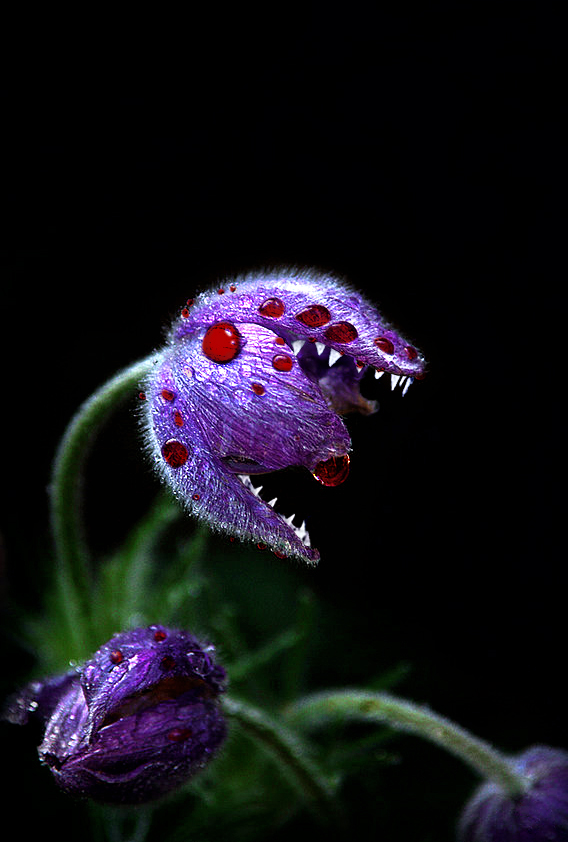 Photoshop Design by Wytske for DesignCrowd (Community Contests) | Design #8975739