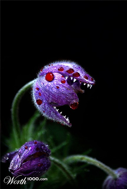 Photoshop Design by Wytske