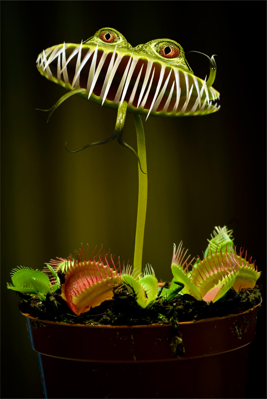 Photoshop Design by R-evolution GFX for DesignCrowd (Community Contests) | Design #8975758