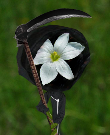 Design Photoshop par EKelman pour DesignCrowd (Community Contests) | Design #8975835