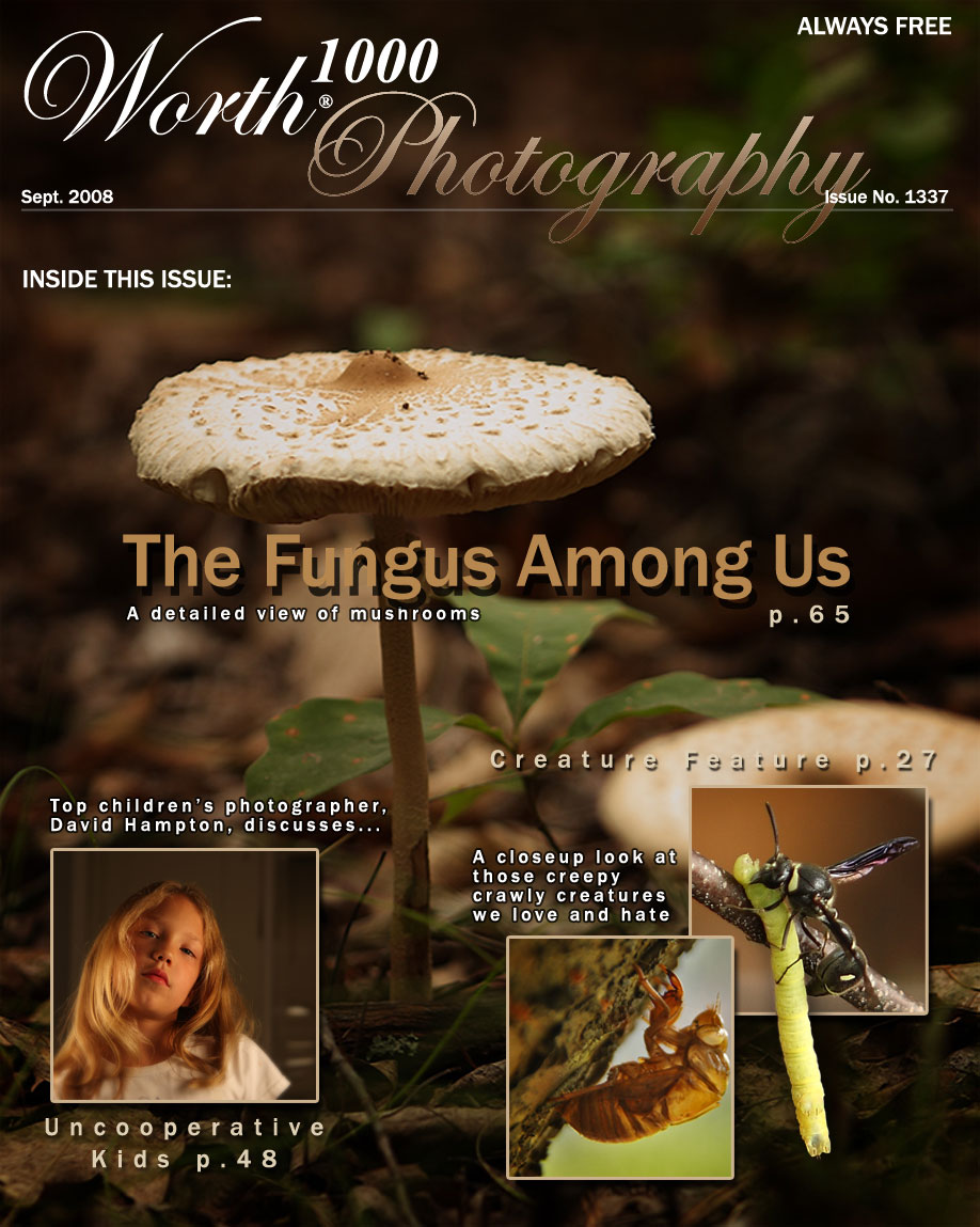 Photography by lords8n for DesignCrowd (Community Contests) | Design #8964635