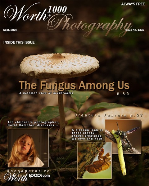 Photography by lords8n