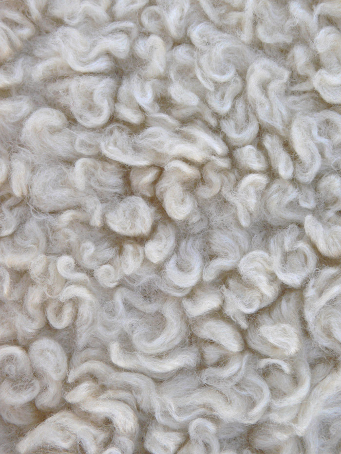 Photography by sausirhi for DesignCrowd (Community Contests) | Design #8970404