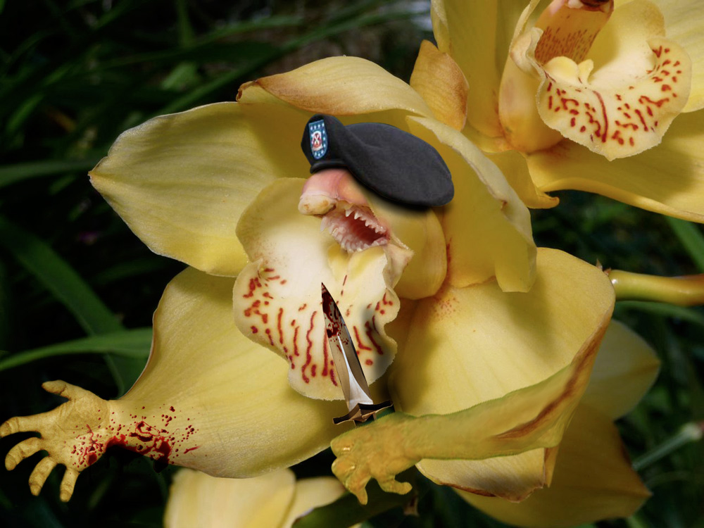 Photoshop-Design von DerekBurns für DesignCrowd (Community Contests) | Design #8975820