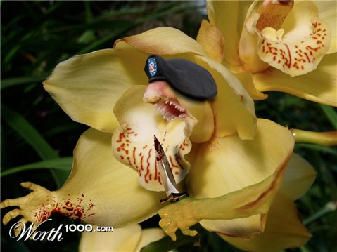 Photoshop Design by DerekBurns