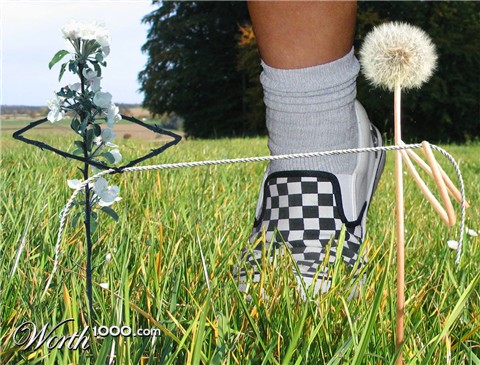 Photoshop Design by bicyclewilli