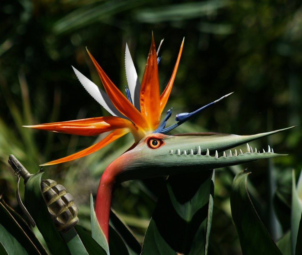 Diseño de Photoshop por copycatfish para DesignCrowd (Community Contests) | Diseño #8975795