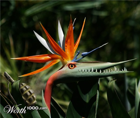 Photoshop Design by copycatfish