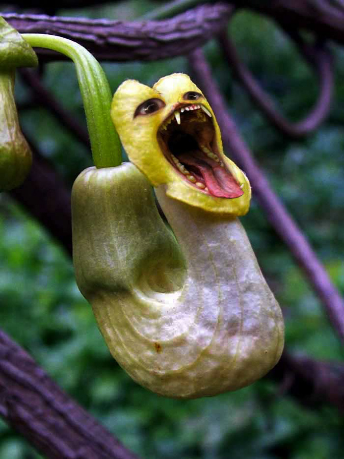 Photoshop Design by YearoftheDragon for DesignCrowd (Community Contests) | Design #8975810