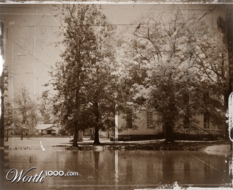 Photography by cassnorton