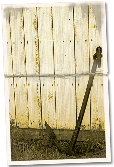 Photography by SeeVee for DesignCrowd (Community Contests) | Design #8969163