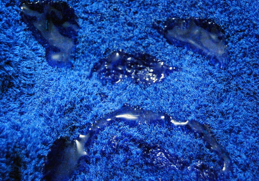 Photography by Smgkw123 for DesignCrowd (Community Contests) | Design #8965424