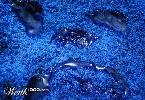 Photography by Smgkw123