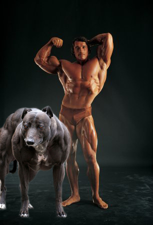 Photoshop Design by acebounce for DesignCrowd (Community Contests) | Design #8965381