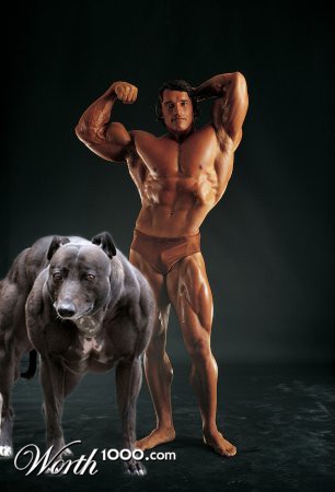 Photoshop Design by acebounce