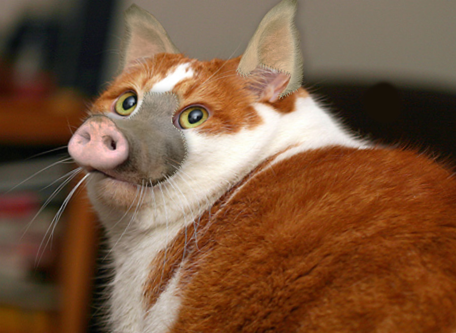 Diseño de Photoshop por pankhurst para DesignCrowd (Community Contests) | Diseño #8966197