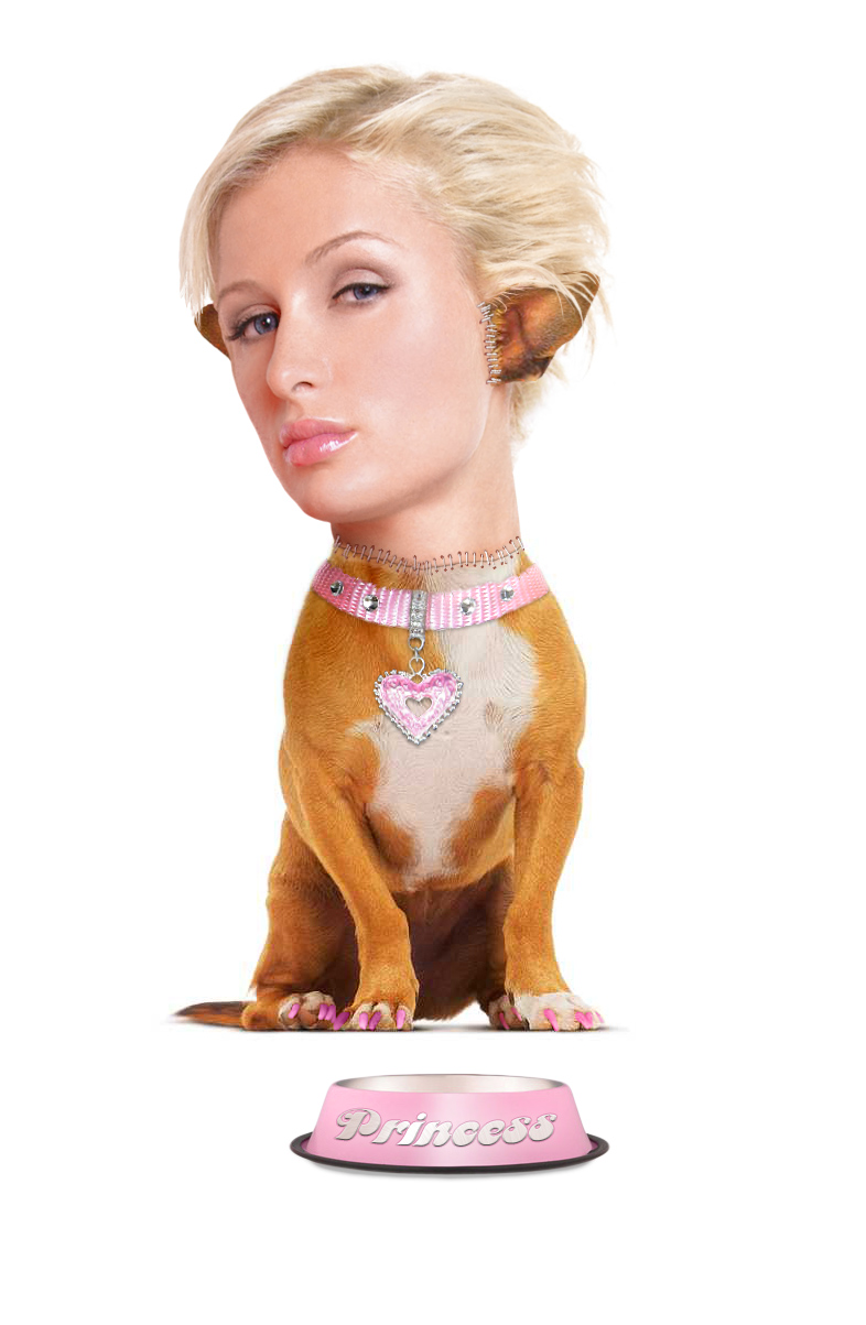 Photoshop Design by R-evolution GFX for DesignCrowd (Community Contests) | Design #8966201