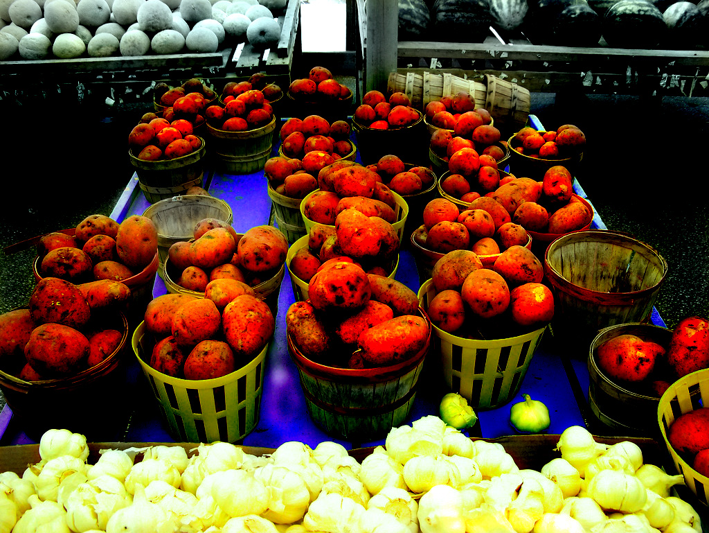 Diseño de Photoshop por mictina para DesignCrowd (Community Contests) | Diseño #8968482