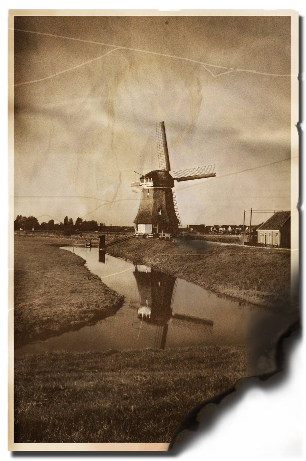 Photography by Roel1969 for DesignCrowd (Community Contests) | Design #8969213