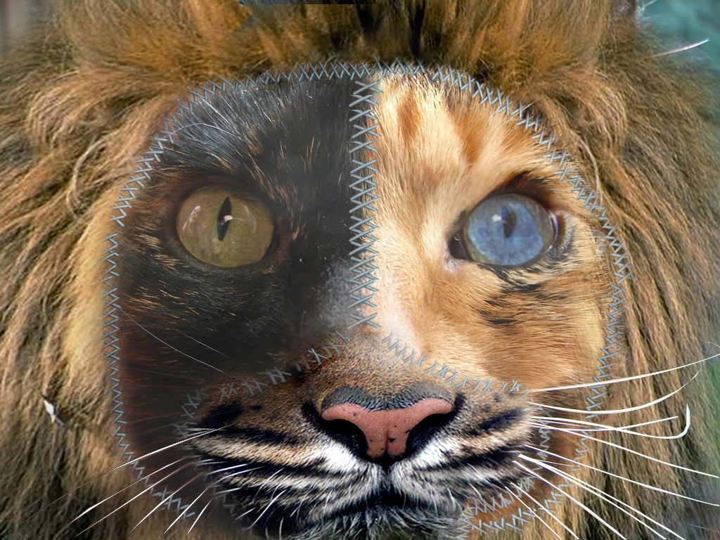 Photoshop Design by EKelman for DesignCrowd (Community Contests) | Design #8966213