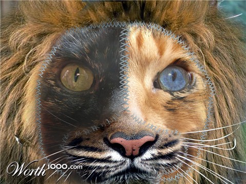Photoshop Design by EKelman