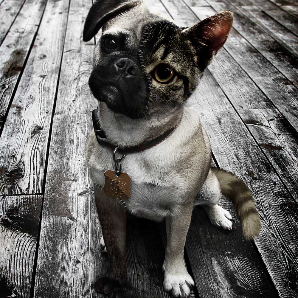 Photoshop Design by mattbyng for DesignCrowd (Community Contests) | Design #8966225