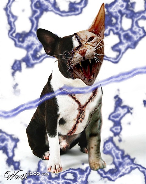 Photoshop Design by depinve