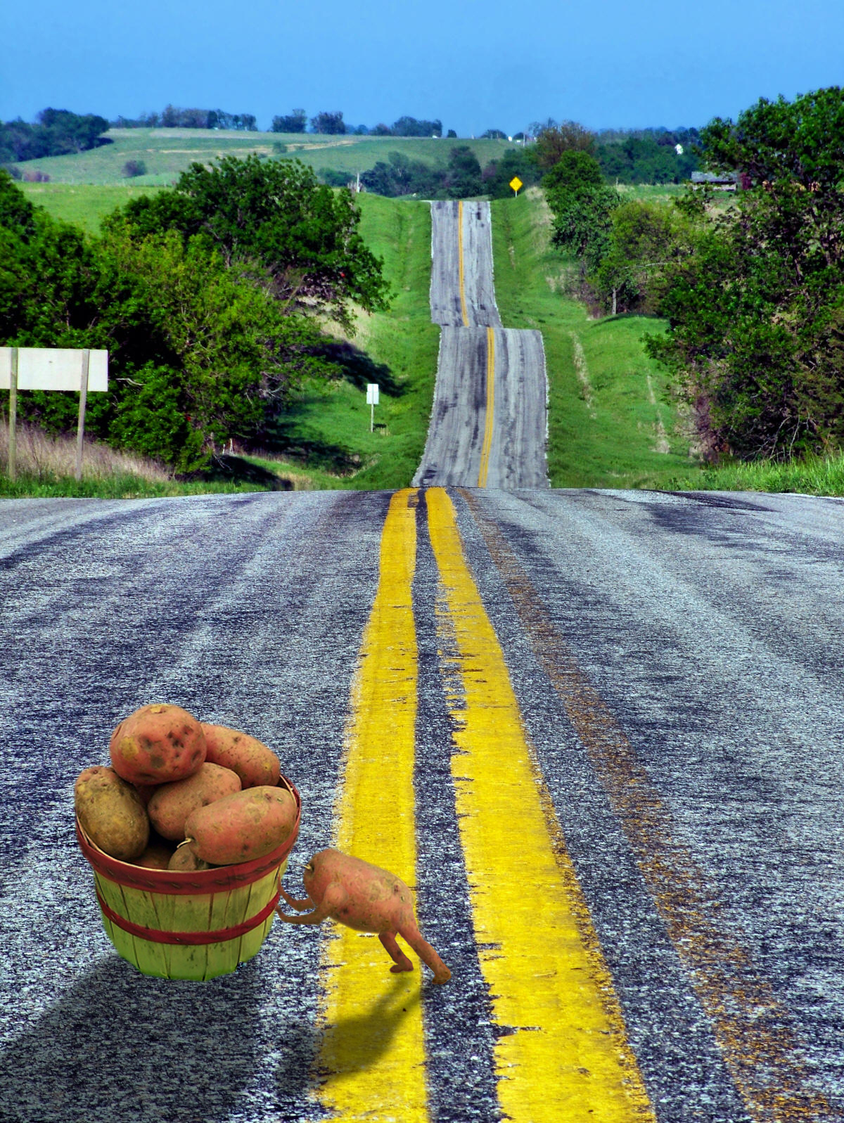 Photoshop Design by mattsta1001 for DesignCrowd (Community Contests) | Design #8968522