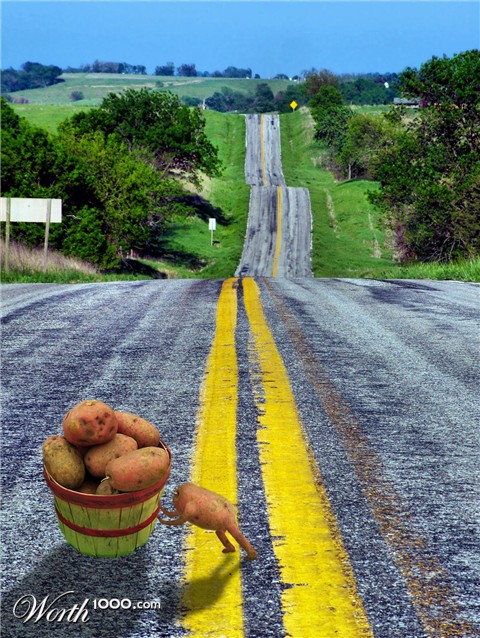 Photoshop Design by mattsta1001