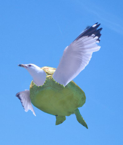 Photoshop-Design von marijnpeter für DesignCrowd (Community Contests) | Design #8966232