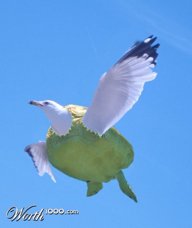 Photoshop Design by marijnpeter