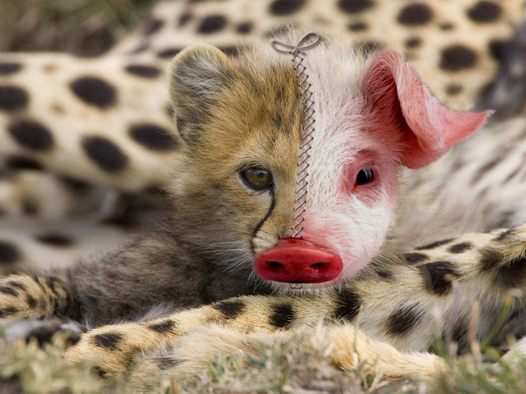 Design Photoshop par colleague pour DesignCrowd (Community Contests) | Design #8966250