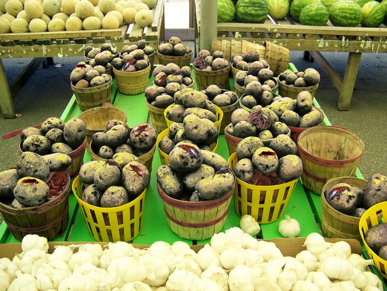 Photoshop Design by RichardvH for DesignCrowd (Community Contests) | Design #8968505