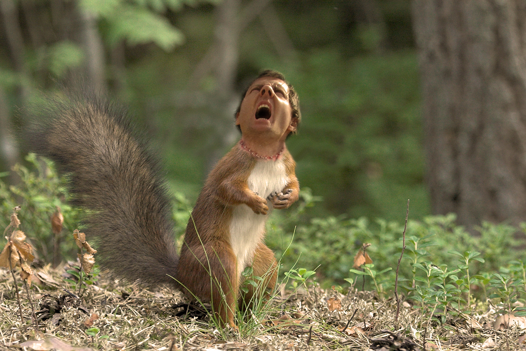 Diseño de Photoshop por wiborn para DesignCrowd (Community Contests) | Diseño #8966322