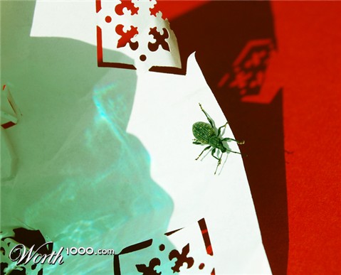 Photography by marymagdalyne