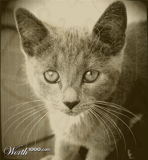 Photography by Chimmi