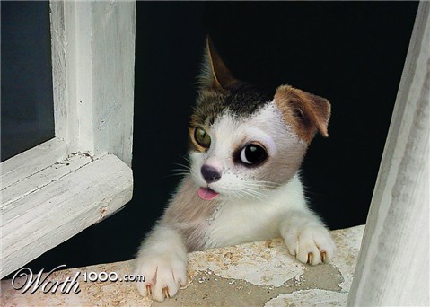 Photoshop Design by FairMagda