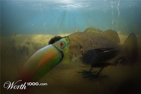 Photoshop Design by chicken279