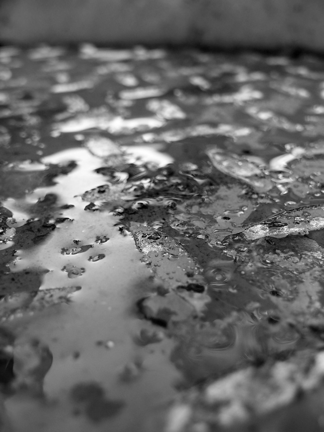 Photography by yehoot for DesignCrowd (Community Contests) | Design #8965033