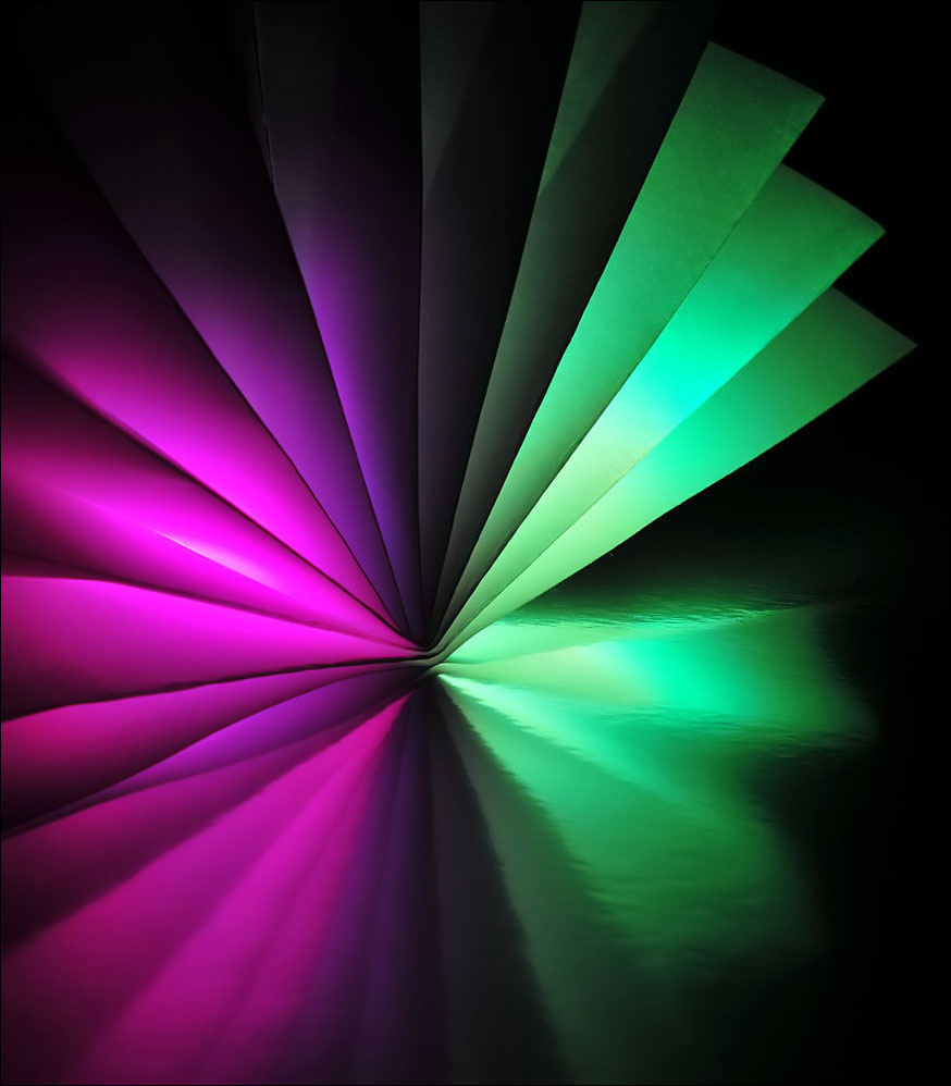 Photography by Isabella2006 for DesignCrowd (Community Contests) | Design #8964152