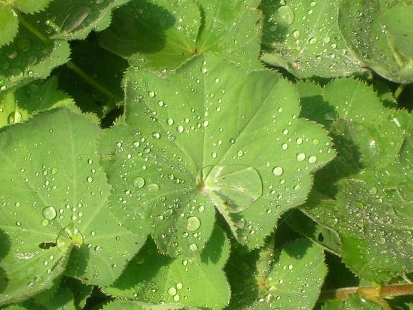 Photography by keri0105 for DesignCrowd (Community Contests) | Design #8965037