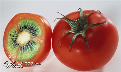 Photoshop Design by kate7819