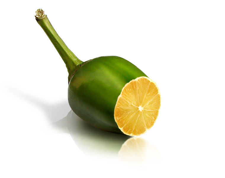 Photoshop-Design von momooo für DesignCrowd (Community Contests) | Design #8965582