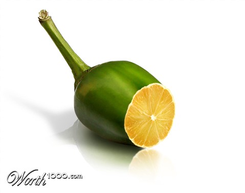 Photoshop Design by momooo