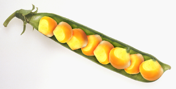 Diseño de Photoshop por smashthatpumpkin para DesignCrowd (Community Contests) | Diseño #8965535