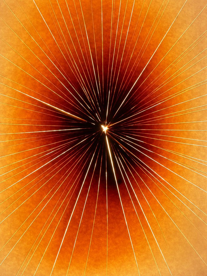 Photography by sausirhi for DesignCrowd (Community Contests) | Design #8964191