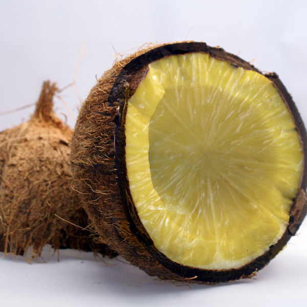 Photoshop Design by EKelman for DesignCrowd (Community Contests) | Design #8965663