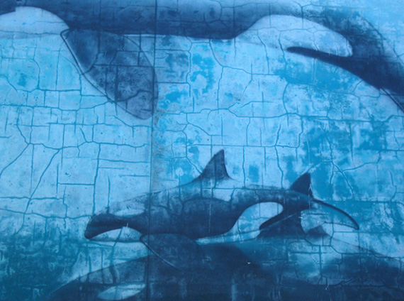 Fotografía por SeeVee para DesignCrowd (Community Contests) | Diseño #8965490